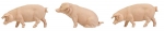 Pola 331895 3 Schweine